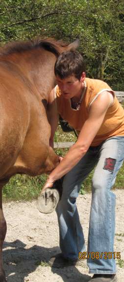otsteopathie für Pferde